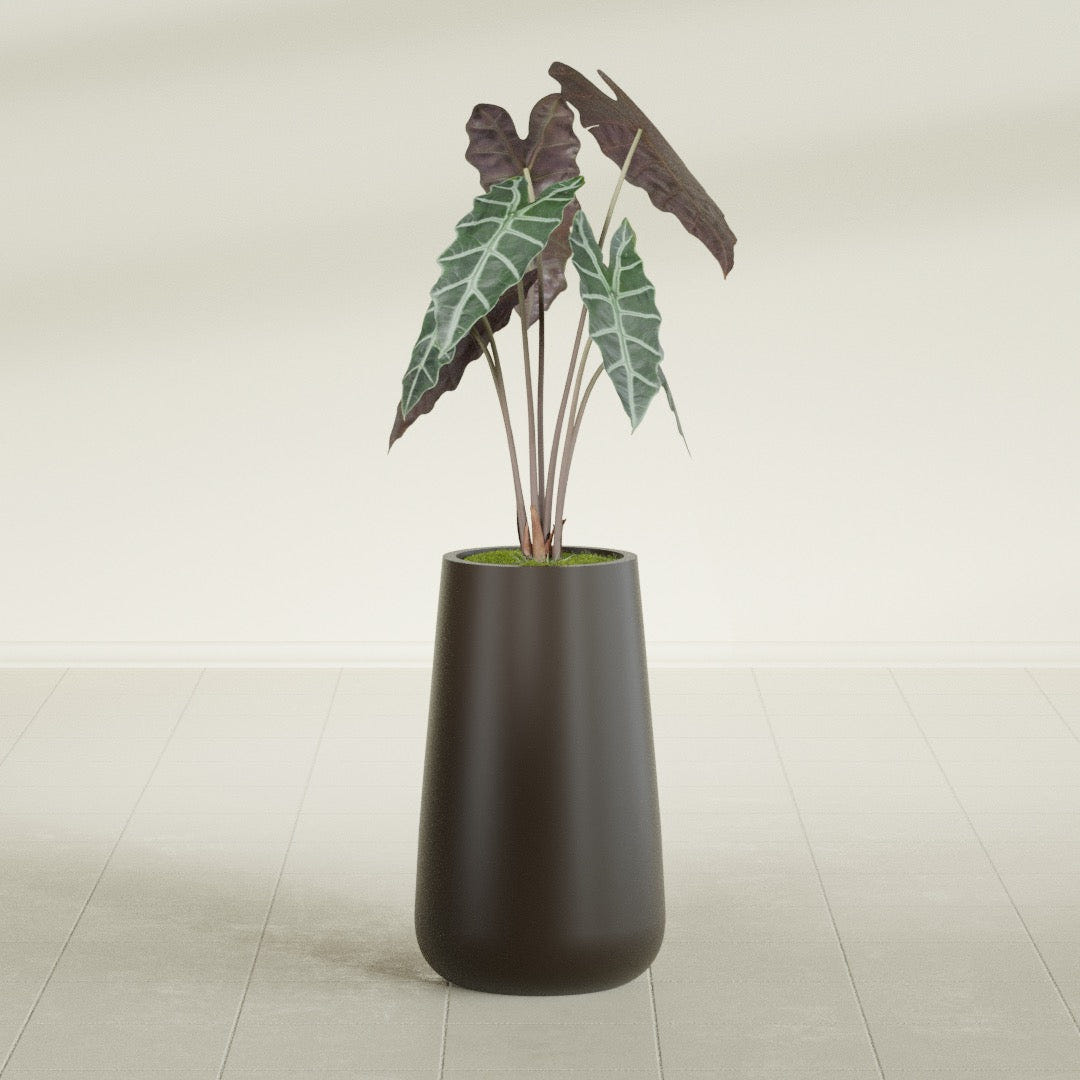 Saigon Tapered Round fiberglass planter in Matte Dark Brown, shown planted, in a sunlit interior