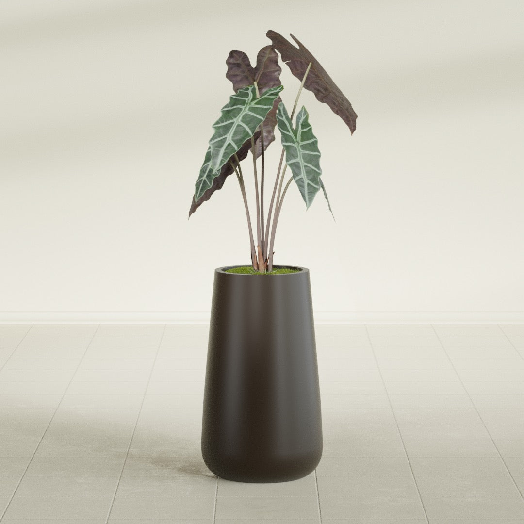 Saigon Tapered Round fiberglass planter in Matte Dark Brown, shown planted, in a sunlit interior