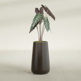 Saigon Tapered Round fiberglass planter in Matte Dark Brown, shown planted, in a sunlit interior
