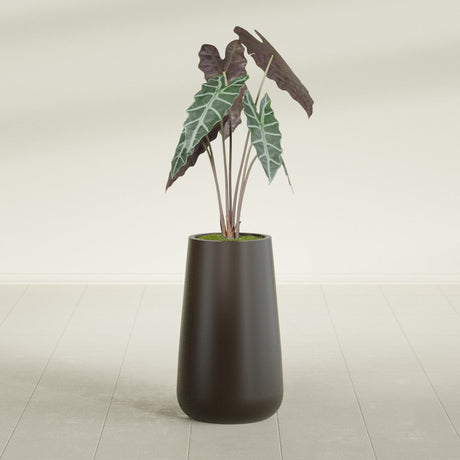 Saigon Tapered Round fiberglass planter in Matte Dark Brown, shown planted, in a sunlit interior