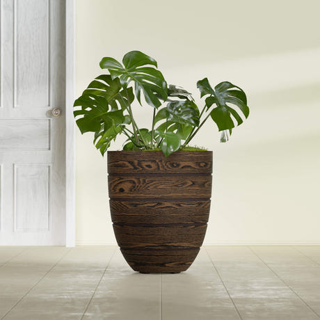 Aspen Round planter in textured walnut, shown planted, in a sunlit interior