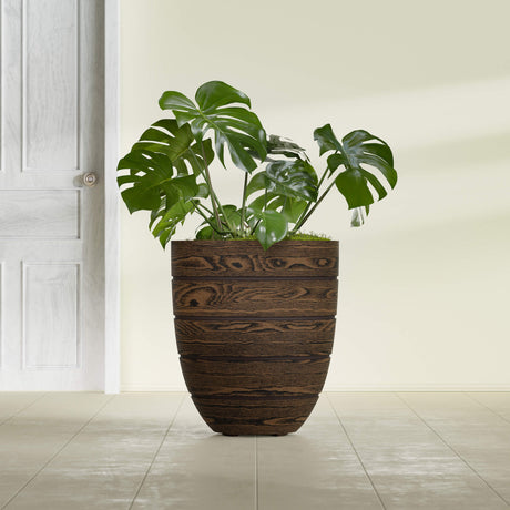 Aspen Round planter in textured walnut, shown planted, in a sunlit interior