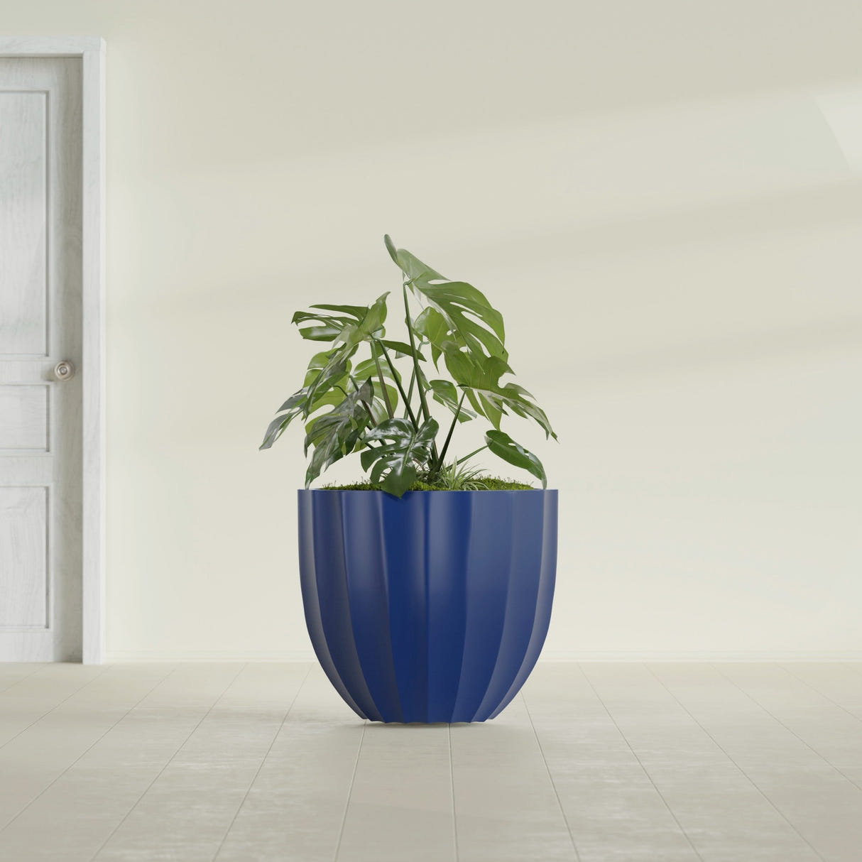 Santa Barbara Fluted Round fiberglass planter in Matte Cobalt Blue, shown planted, in a sunlit interior