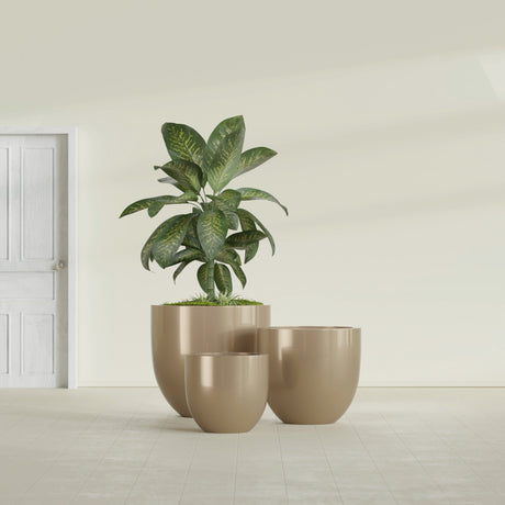 Alzira Bowl fiberglass planter in Gloss Metallic Gold, size range, in a sunlit interior