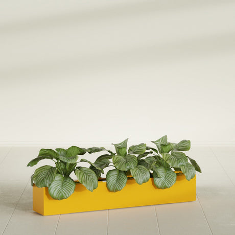 Salon Box fiberglass planter in Gloss Saffron, shown planted, in a sunlit interior