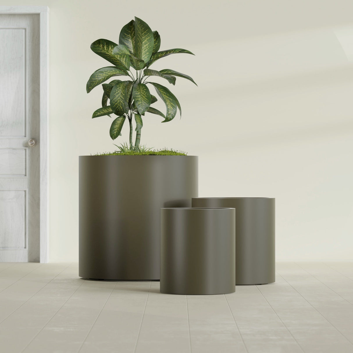 Rio Grande Cylinder fiberglass planter in Matte Bronze, size range, in a sunlit interior