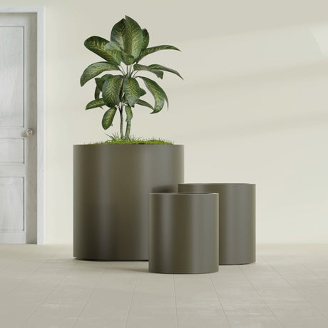 Rio Grande Cylinder fiberglass planter in Matte Bronze, size range, in a sunlit interior