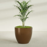 Wannsee Round fiberglass planter in Metallic Bronze, shown planted, in a sunlit interior