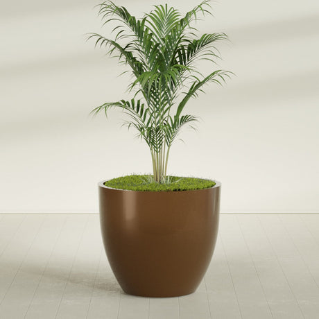 Wannsee Round fiberglass planter in Metallic Bronze, shown planted, in a sunlit interior