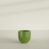 Alzira Bowl Planter in Satin Green, 23"D × 22"H, shown empty