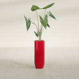 Saint Tropez Bullet Round fiberglass planter in Gloss Red, shown planted, in a sunlit interior