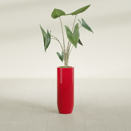 Saint Tropez Bullet Round fiberglass planter in Gloss Red, shown planted, in a sunlit interior