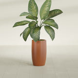 Lisbon Tall Round fiberglass planter in Matte Terra Cotta, shown planted, in a sunlit interior