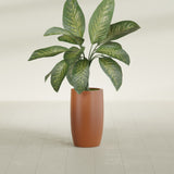 Lisbon Tall Round fiberglass planter in Matte Terra Cotta, shown planted, in a sunlit interior