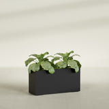 Miami Narrow Rectangular fiberglass planter in Matte Black, shown planted, in a sunlit interior