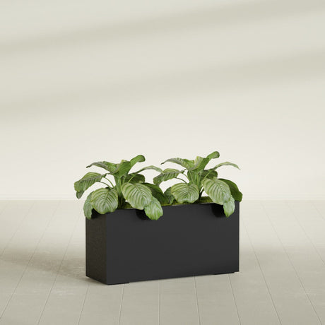 Miami Narrow Rectangular fiberglass planter in Matte Black, shown planted, in a sunlit interior