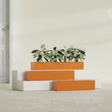 Salon Box fiberglass planter in Gloss Tangerine, size range, in a sunlit interior