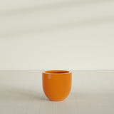 Alzira Bowl Planter in Gloss Tangerine, 23"D × 22"H, shown empty