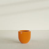 Alzira Bowl Planter in Gloss Tangerine, 23"D × 22"H, shown empty