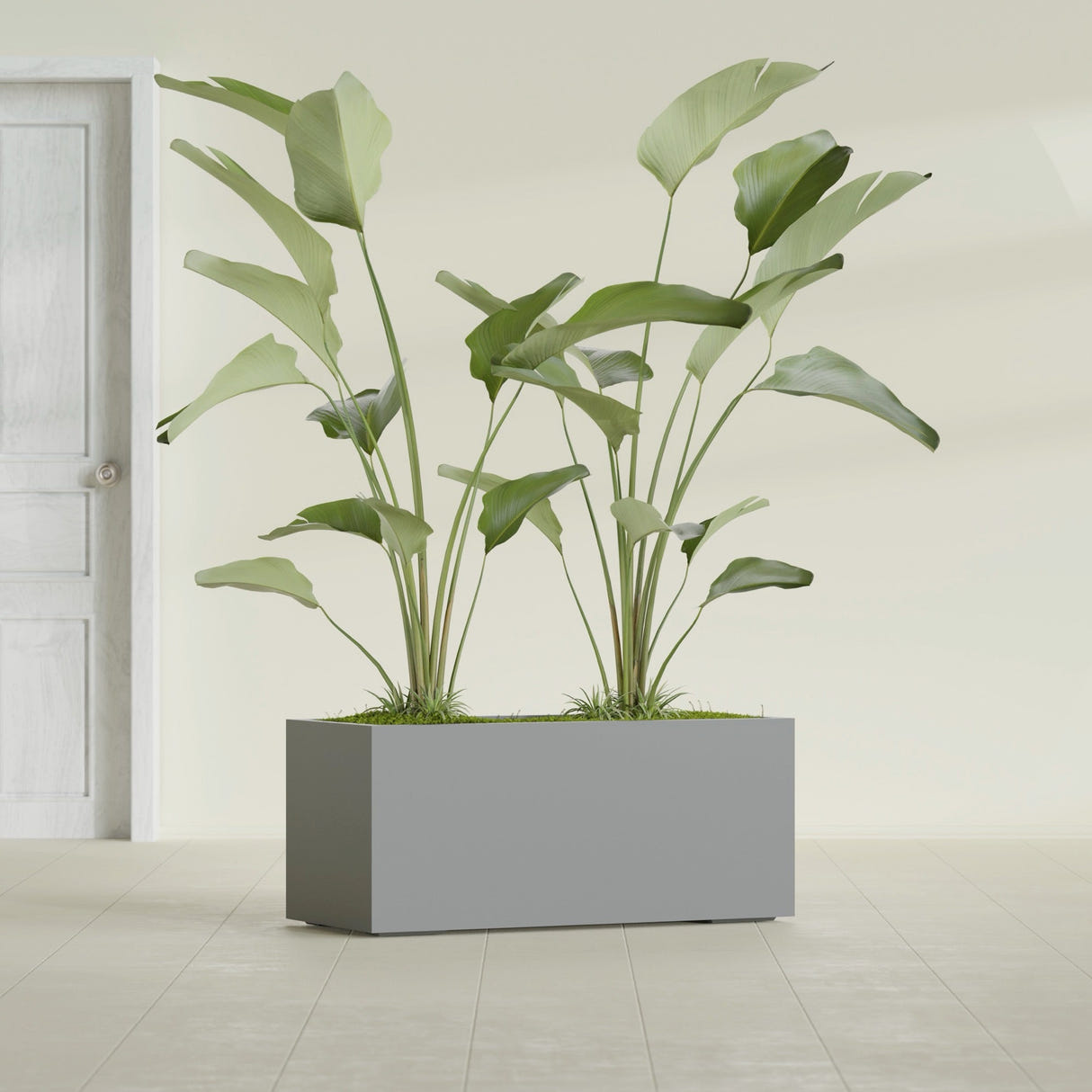Badalona Rectangular fiberglass planter in Matte Gunmetal, shown planted, in a sunlit interior