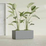 Badalona Rectangular fiberglass planter in Matte Gunmetal, shown planted, in a sunlit interior