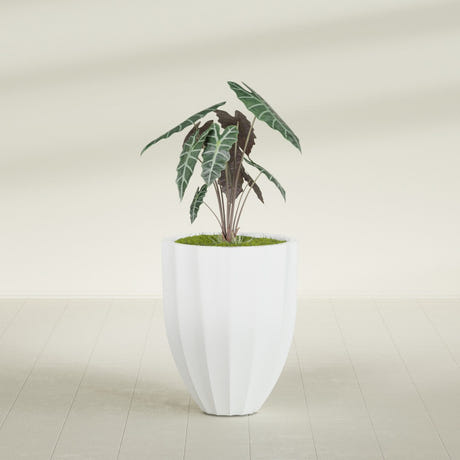Alicante Fluted fiberglass planter in Matte Bright White, shown planted, in a sunlit interior