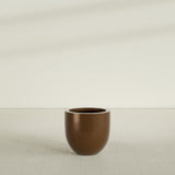 Alzira Bowl Planter in Metallic Bronze, 23"D × 22"H, shown empty