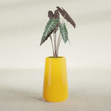 Saigon Tapered Round fiberglass planter in Gloss Saffron, shown planted, in a sunlit interior