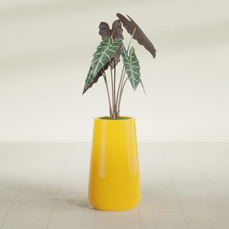 Saigon Tapered Round fiberglass planter in Gloss Saffron, shown planted, in a sunlit interior