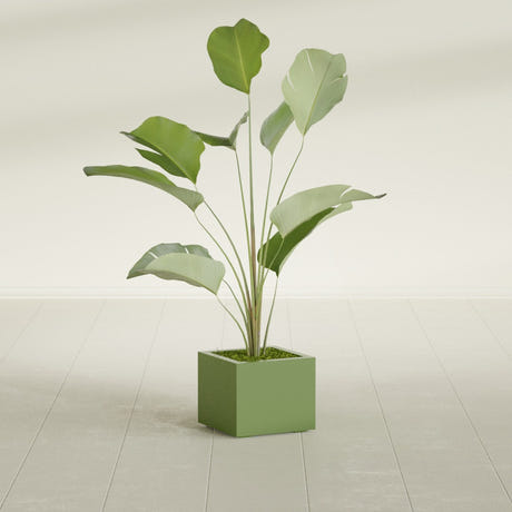 Cuba Corner fiberglass planter in Satin Green, planted, in a sunlit interior