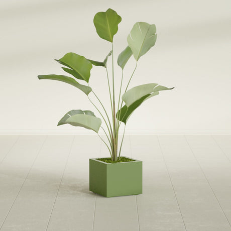 Cuba Corner fiberglass planter in Satin Green, planted, in a sunlit interior