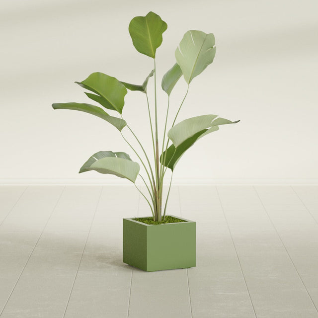 Cuba Corner fiberglass planter in Satin Green, planted, in a sunlit interior