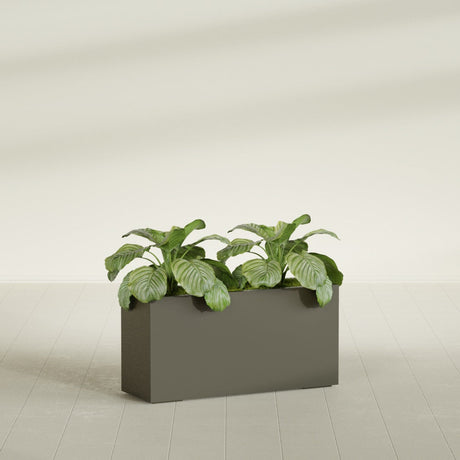 Miami Corner fiberglass planter in Matte Bronze, shown planted, in a sunlit interior