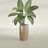 Lisbon Tall Round fiberglass planter in Gloss Metallic Gold, shown planted, in a sunlit interior