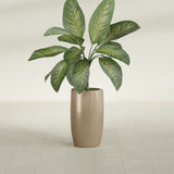 Lisbon Tall Round fiberglass planter in Gloss Metallic Gold, shown planted, in a sunlit interior