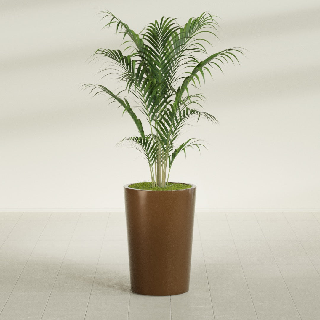 Tegel Round Tapered fiberglass planter in Metallic Bronze, shown planted, in a sunlit interior