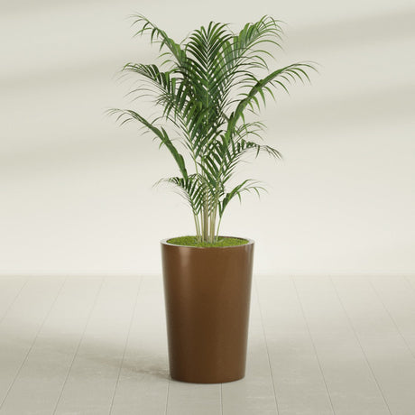 Tegel Round Tapered fiberglass planter in Metallic Bronze, shown planted, in a sunlit interior