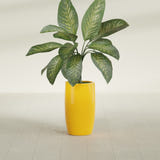 Lisbon Tall Round fiberglass planter in Gloss Saffron, shown planted, in a sunlit interior