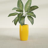Lisbon Tall Round fiberglass planter in Gloss Saffron, shown planted, in a sunlit interior