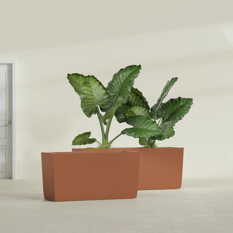 Panama Tapered Rectangular fiberglass planter in Matte Terra Cotta, shown planted, in a sunlit interior