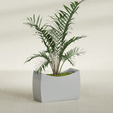 Seoul Curved fiberglass planter in Metallic Silver, shown planted, in a sunlit interior