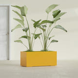 Badalona Rectangular fiberglass planter in Gloss Saffron, shown planted, in a sunlit interior