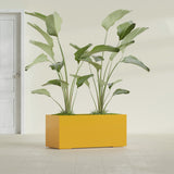 Badalona Rectangular fiberglass planter in Gloss Saffron, shown planted, in a sunlit interior