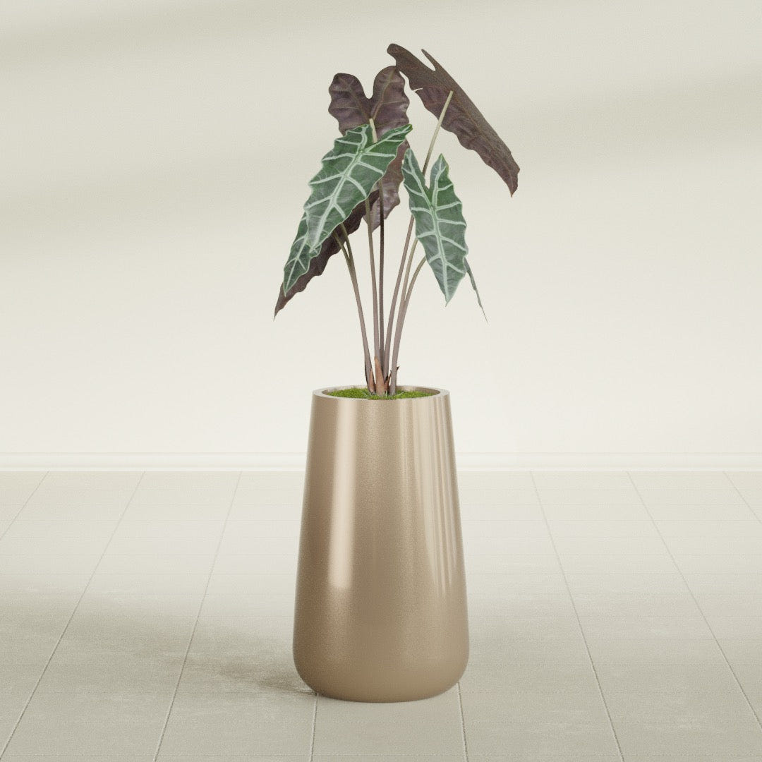 Saigon Tapered Round fiberglass planter in Gloss Metallic Gold, shown planted, in a sunlit interior