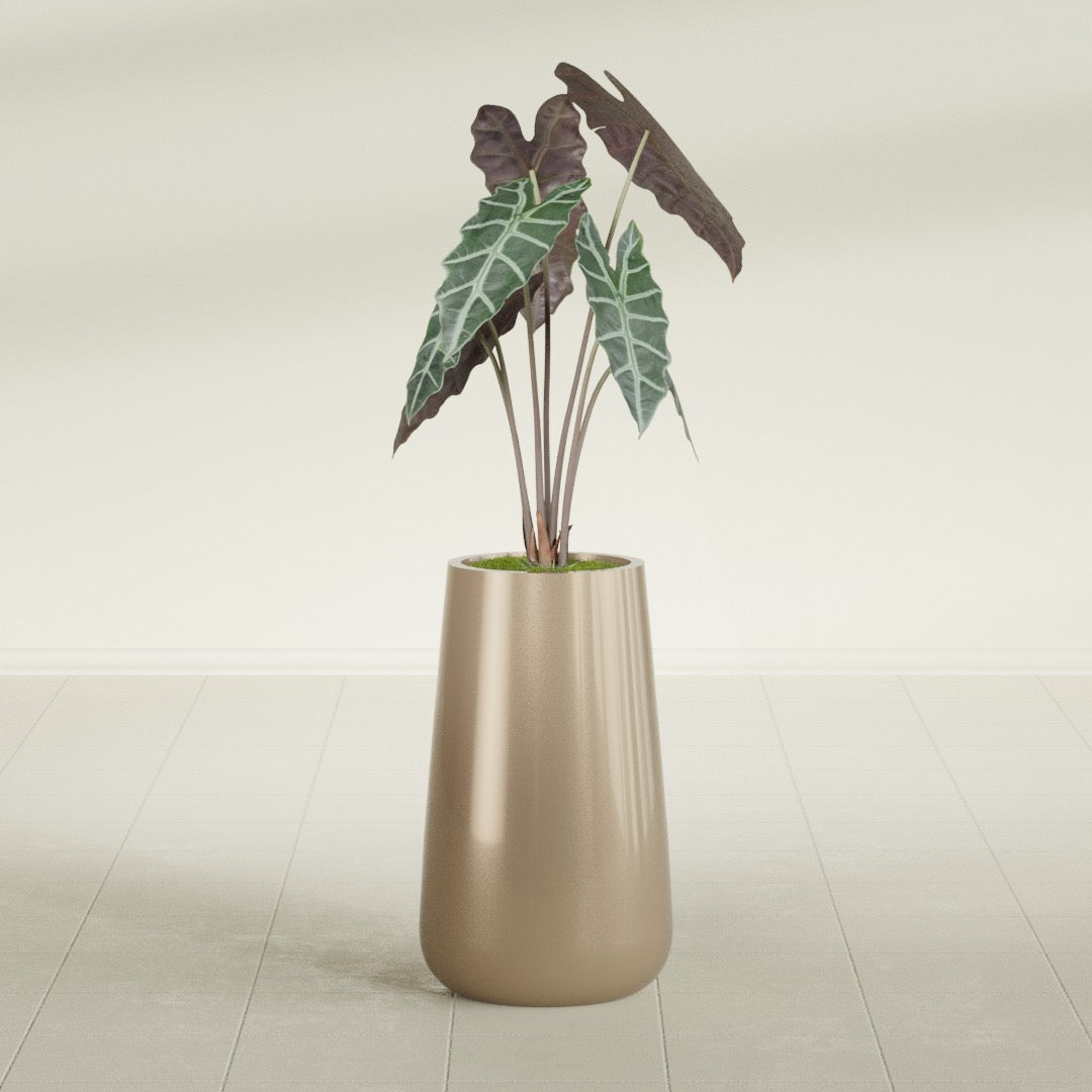 Saigon Tapered Round fiberglass planter in Gloss Metallic Gold, shown planted, in a sunlit interior