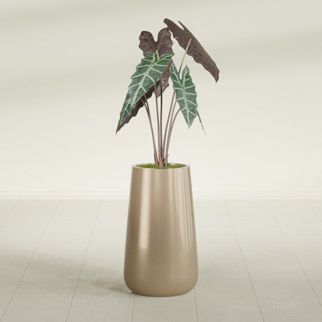Saigon Tapered Round fiberglass planter in Gloss Metallic Gold, shown planted, in a sunlit interior