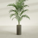 Corry Cylinder fiberglass planter in Matte Bronze, shown planted, in a sunlit interior