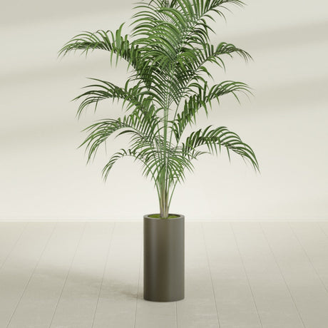 Corry Cylinder fiberglass planter in Matte Bronze, shown planted, in a sunlit interior