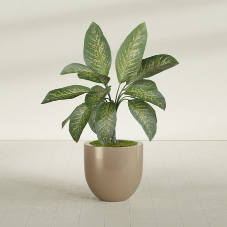 Alzira Bowl fiberglass planter in Gloss Metallic Gold, shown planted, in a sunlit interior