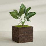 Asheville Cube planter in textured walnut, shown planted, in a sunlit interior